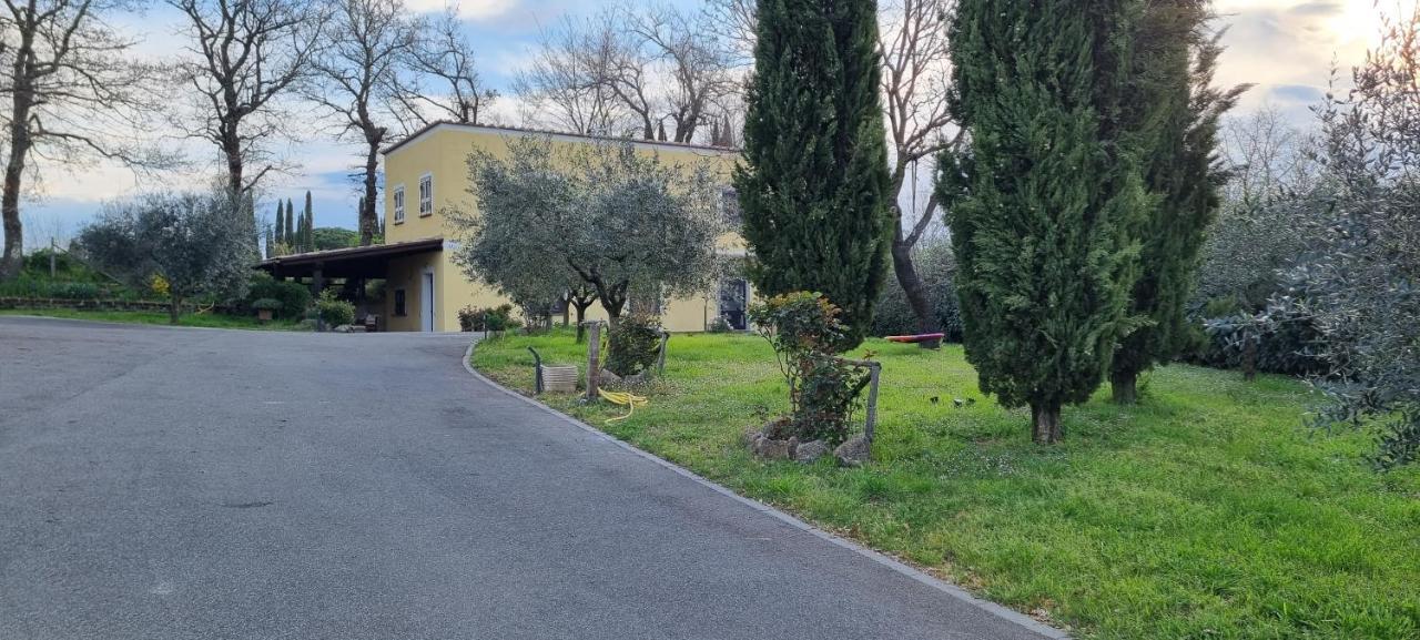 Oltre La Siepe Apartment Nepi Exteriör bild